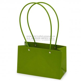 Pungă pliabilă verde pentru flori 22×14×11 cm set 10 buc